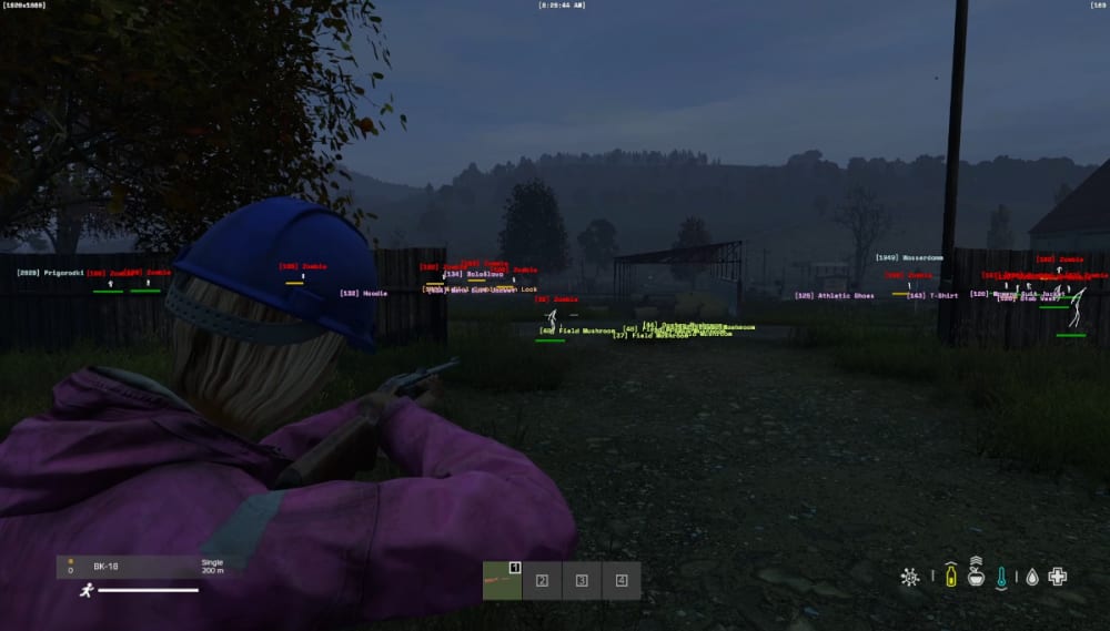 Ingame1.webp