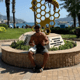 musti9861