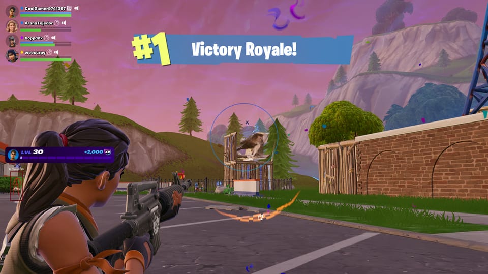 ProAim Fortnite
