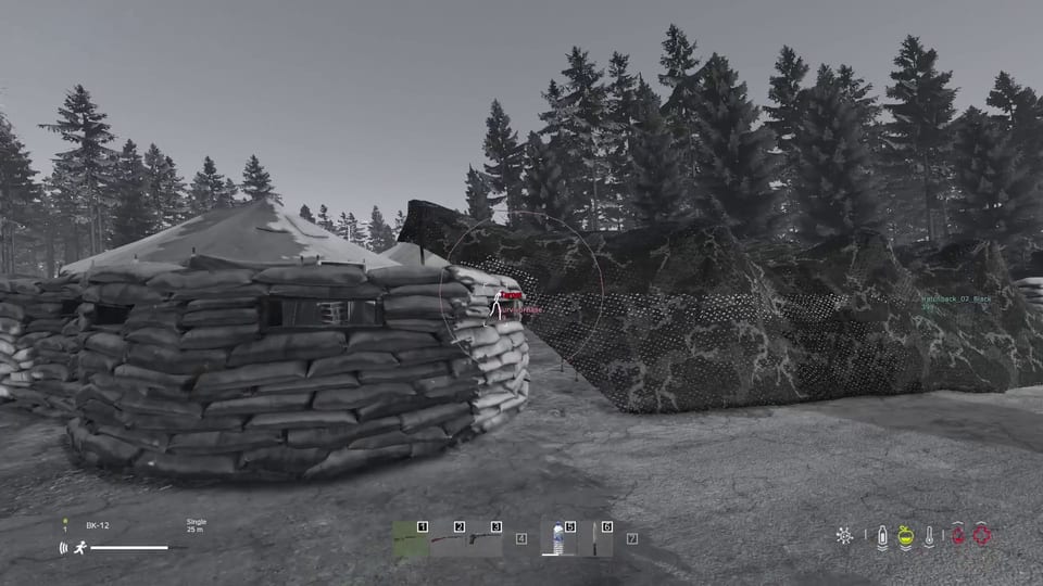 Cobra DayZ