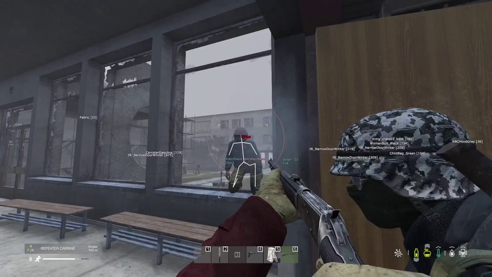 Cobra DayZ