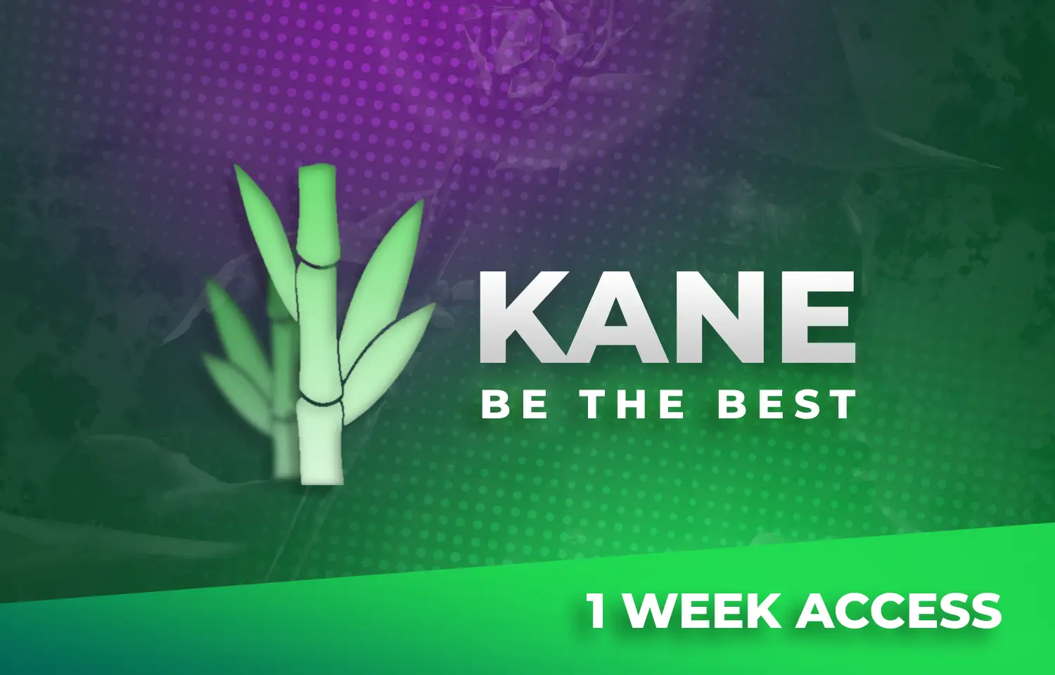 Kane D&D 1 Week