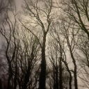 haunts