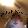 puLsE Nxvvy