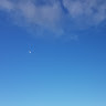 N J