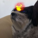 JaydyJMan